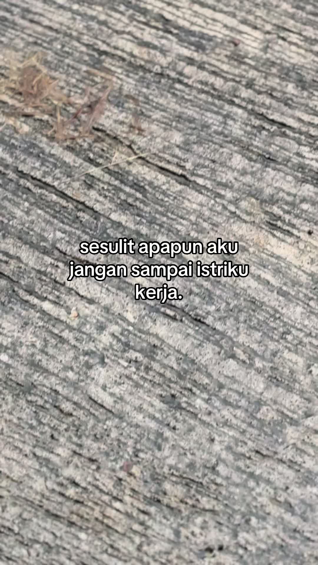 @Tauf1q