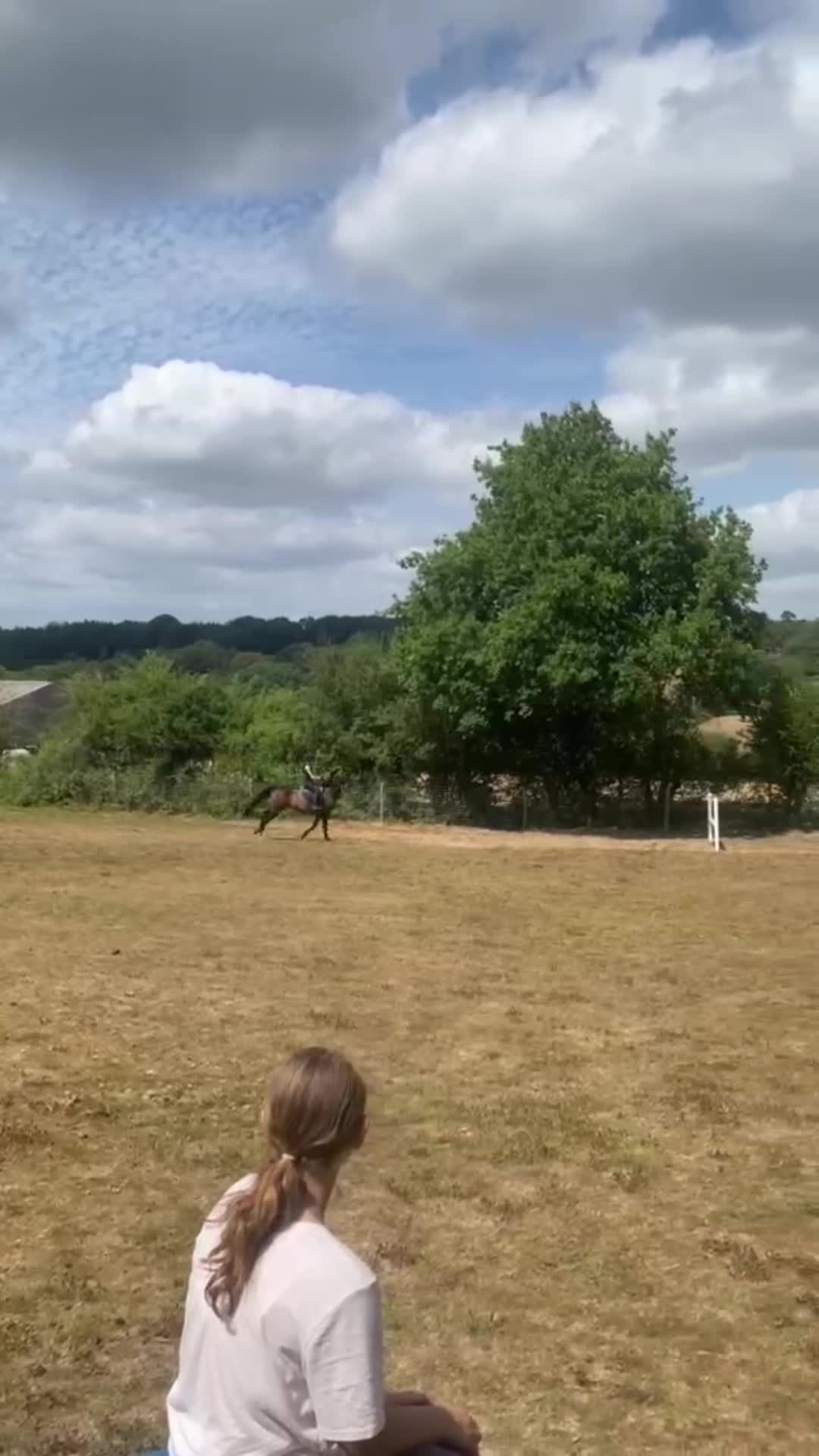 @Kitty equestrian.
