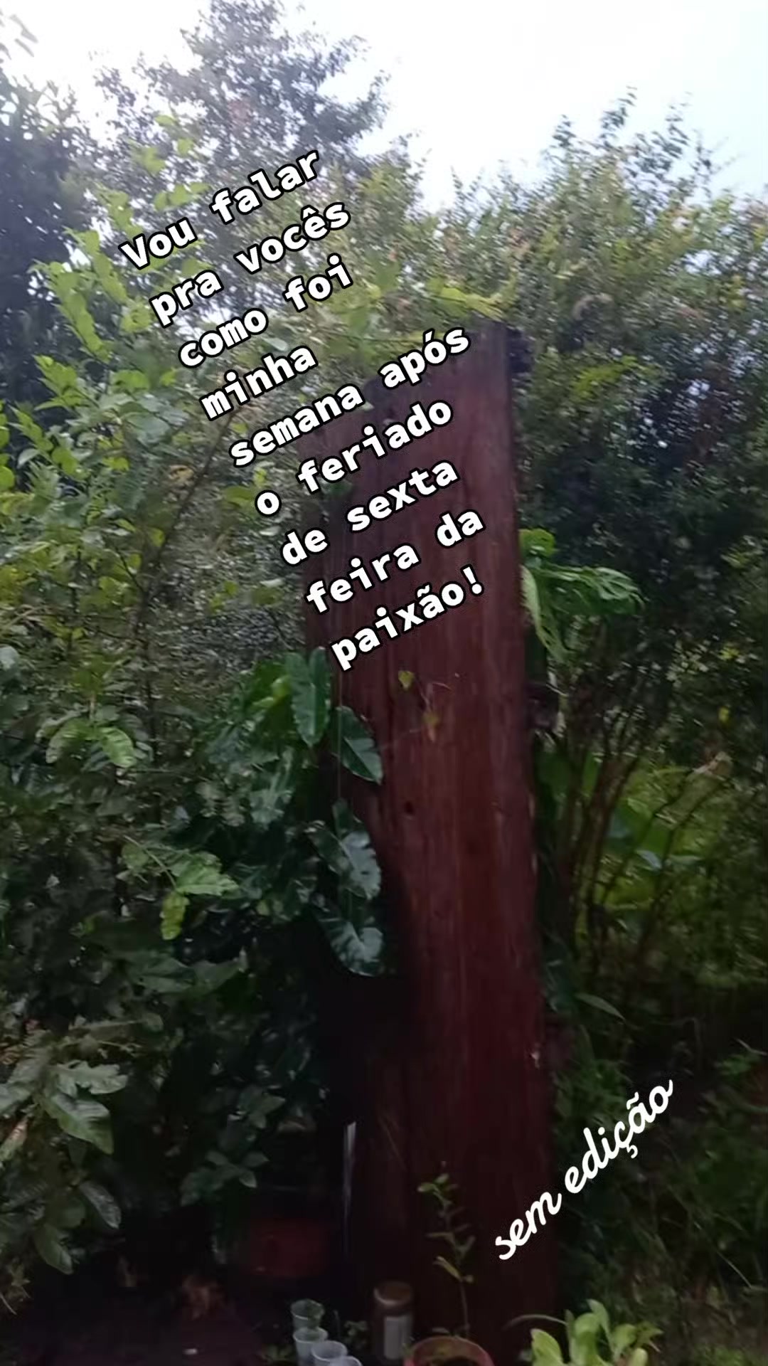 @Marlene Alves