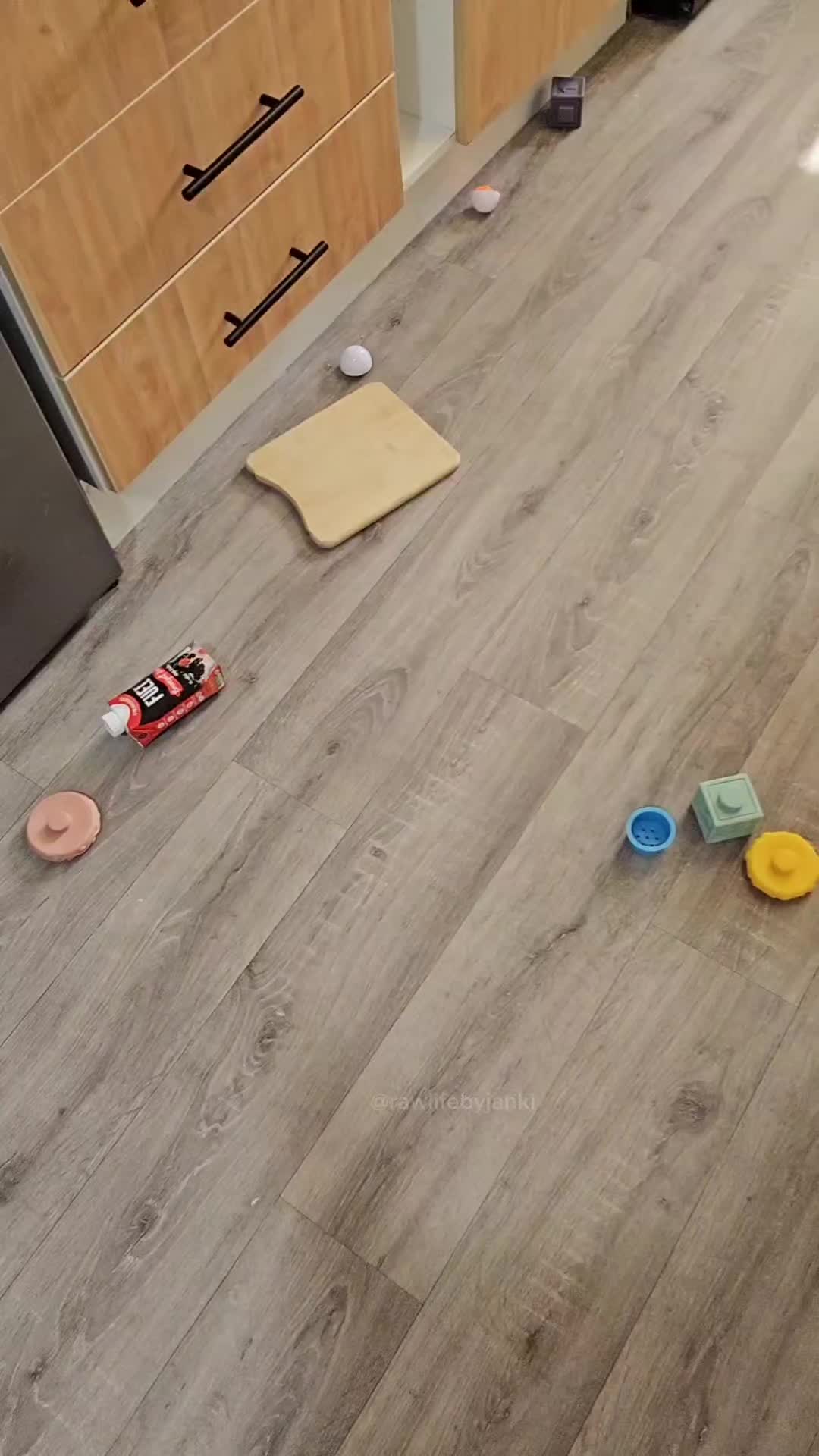 @Rawlifebyjanki