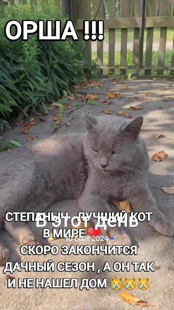 @marinka20_09