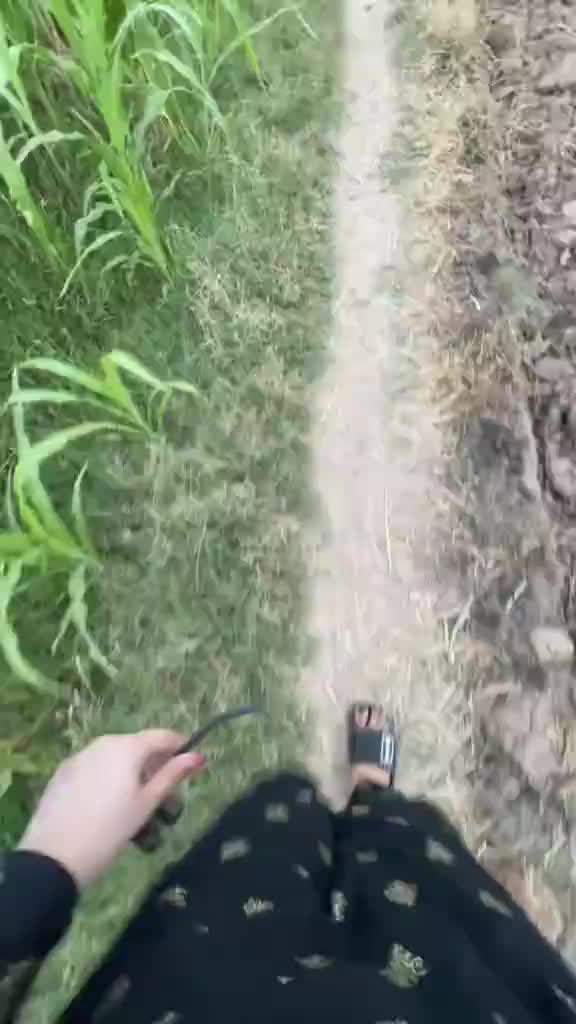 @𝑴𝒆𝒉𝒓𝒖 𝑨𝒃𝒃𝒂𝒔 𝑩𝒂𝒔𝒊