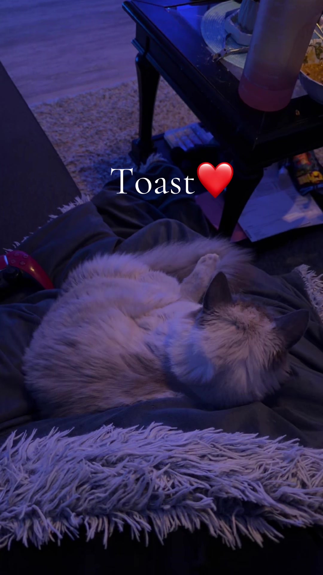 @𝙼𝚊𝚍𝚊𝚖 𝙲𝚑𝚎𝚎𝚣𝚌𝚊𝚔𝚎