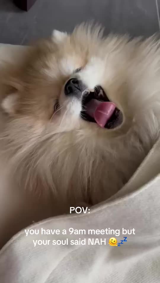 @Lulú