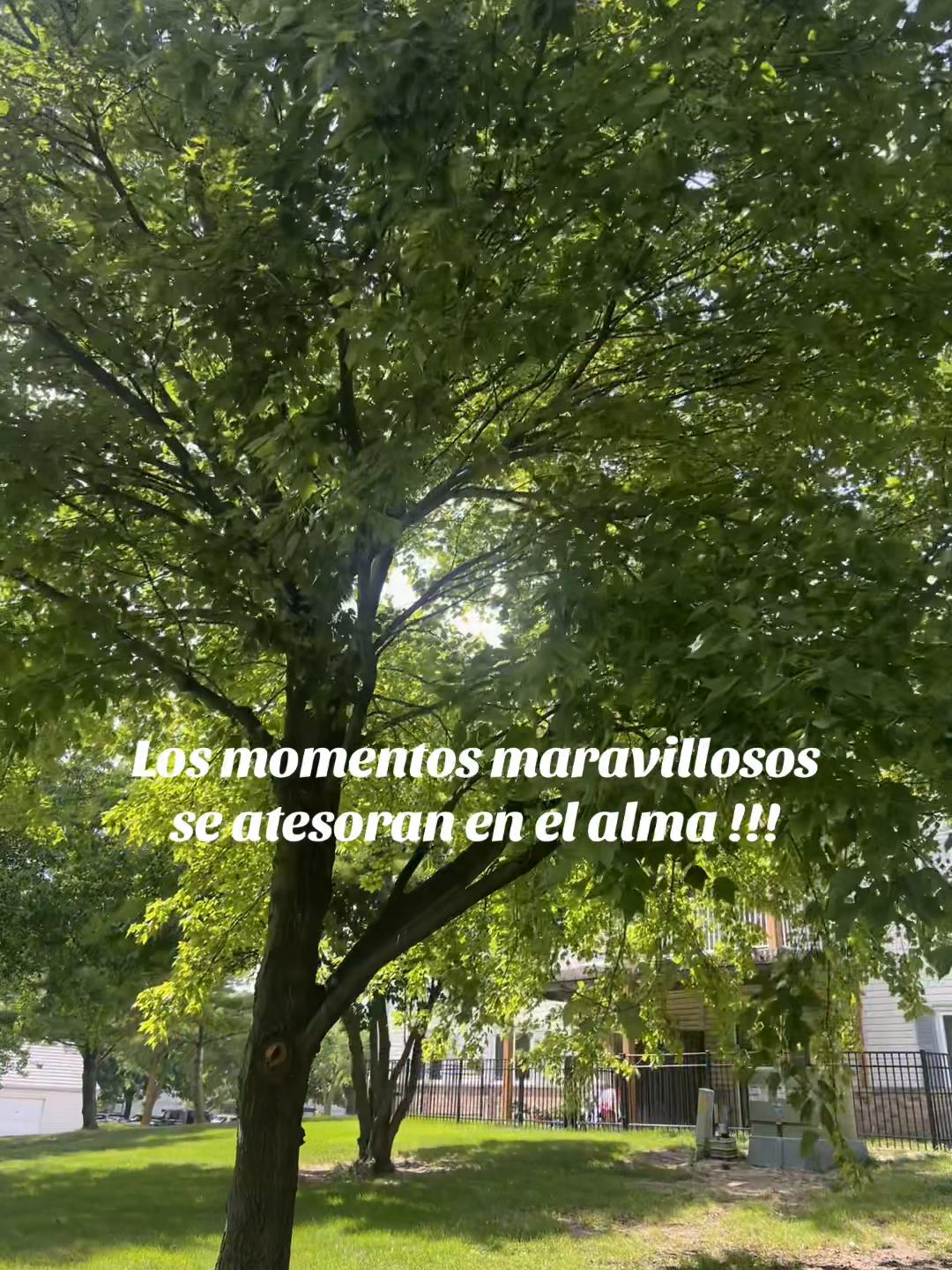 @Anaili