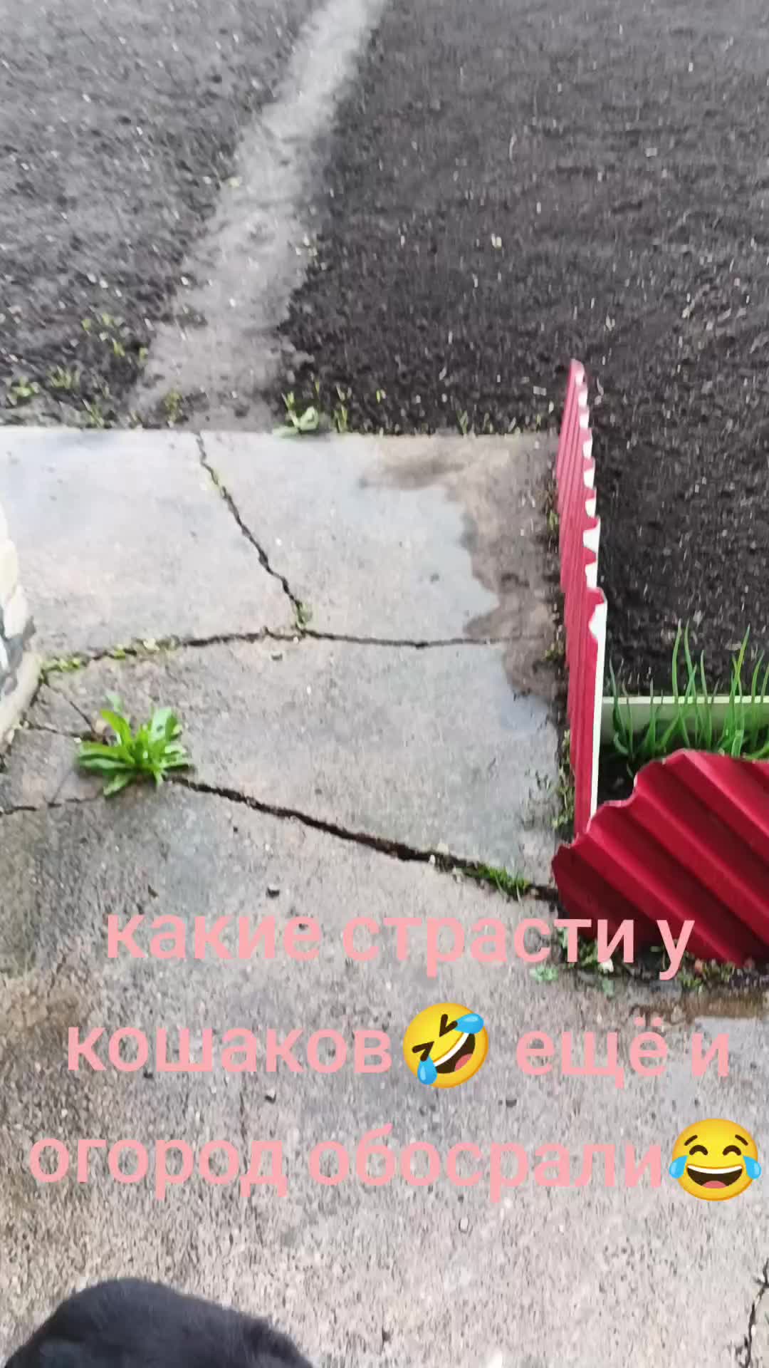 @Настя Атнишкина