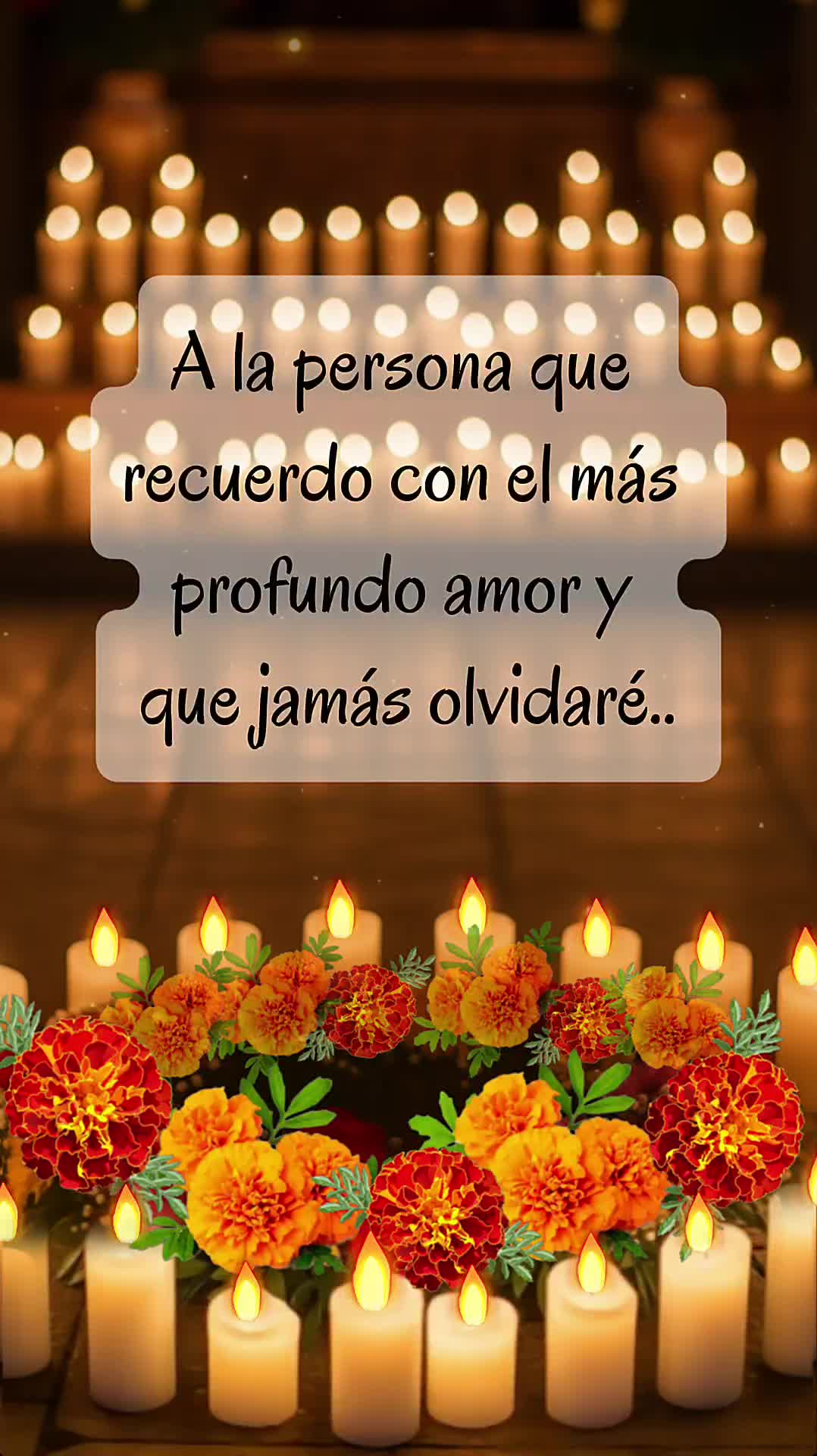 @Miguelina@gmail.com