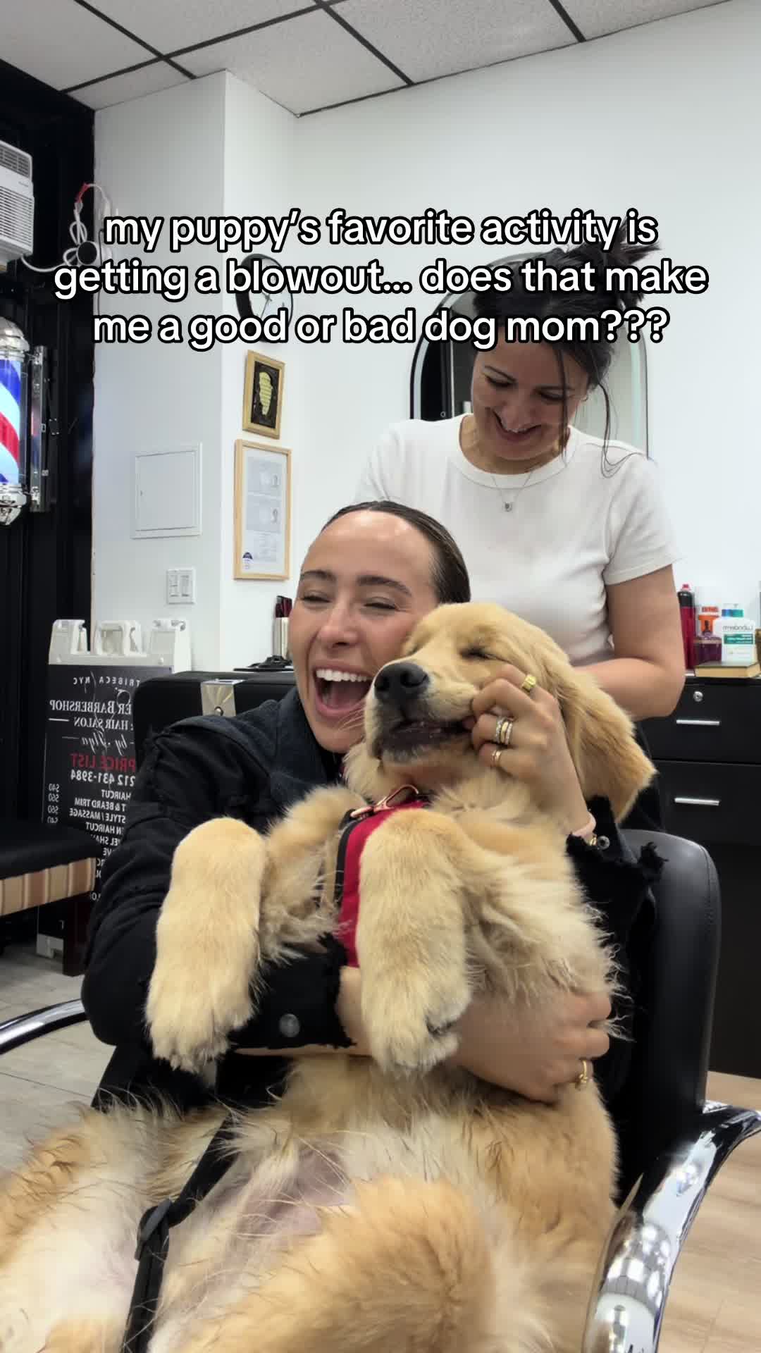 @Liv Schreiber