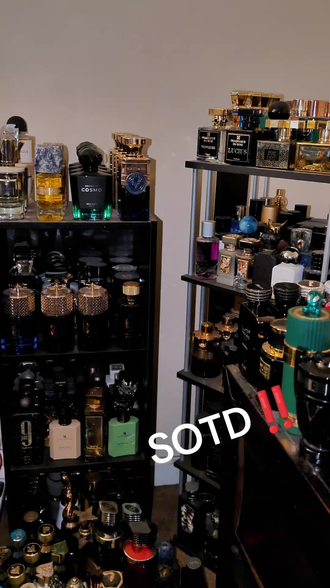 @ScentGod5