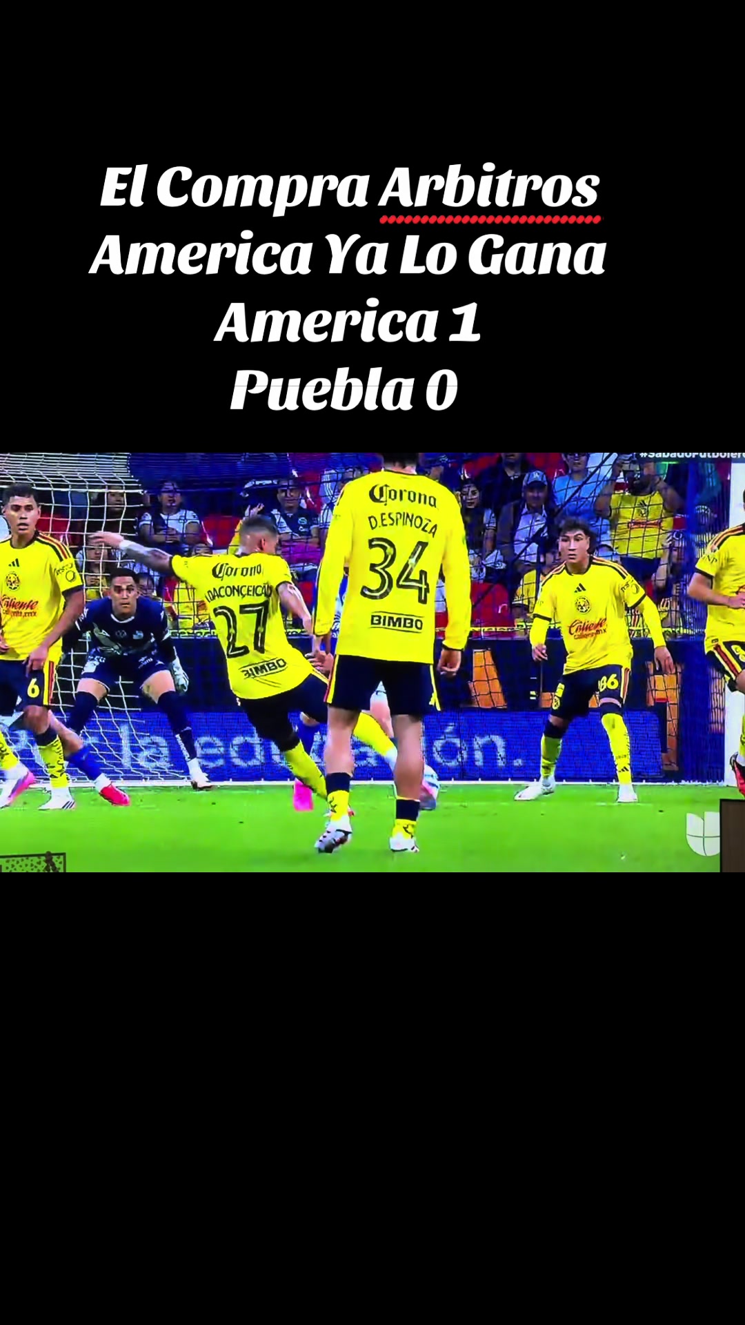 @elbuenavida58