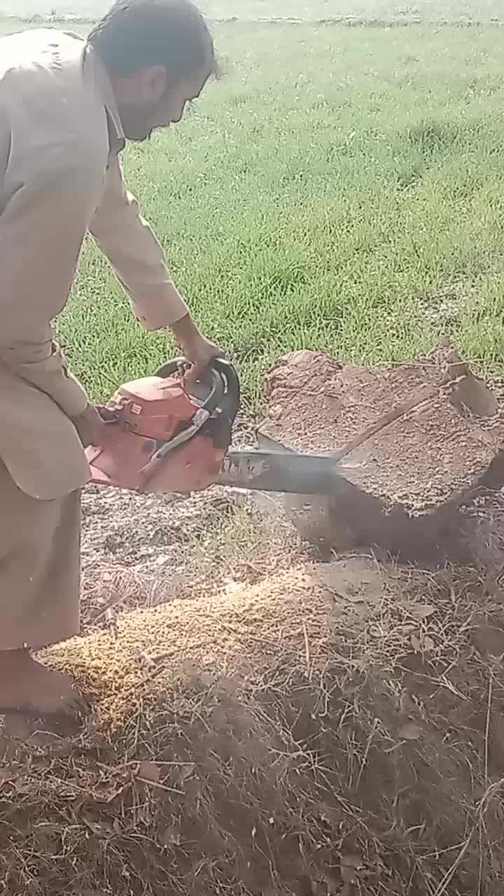 @Baba Mani