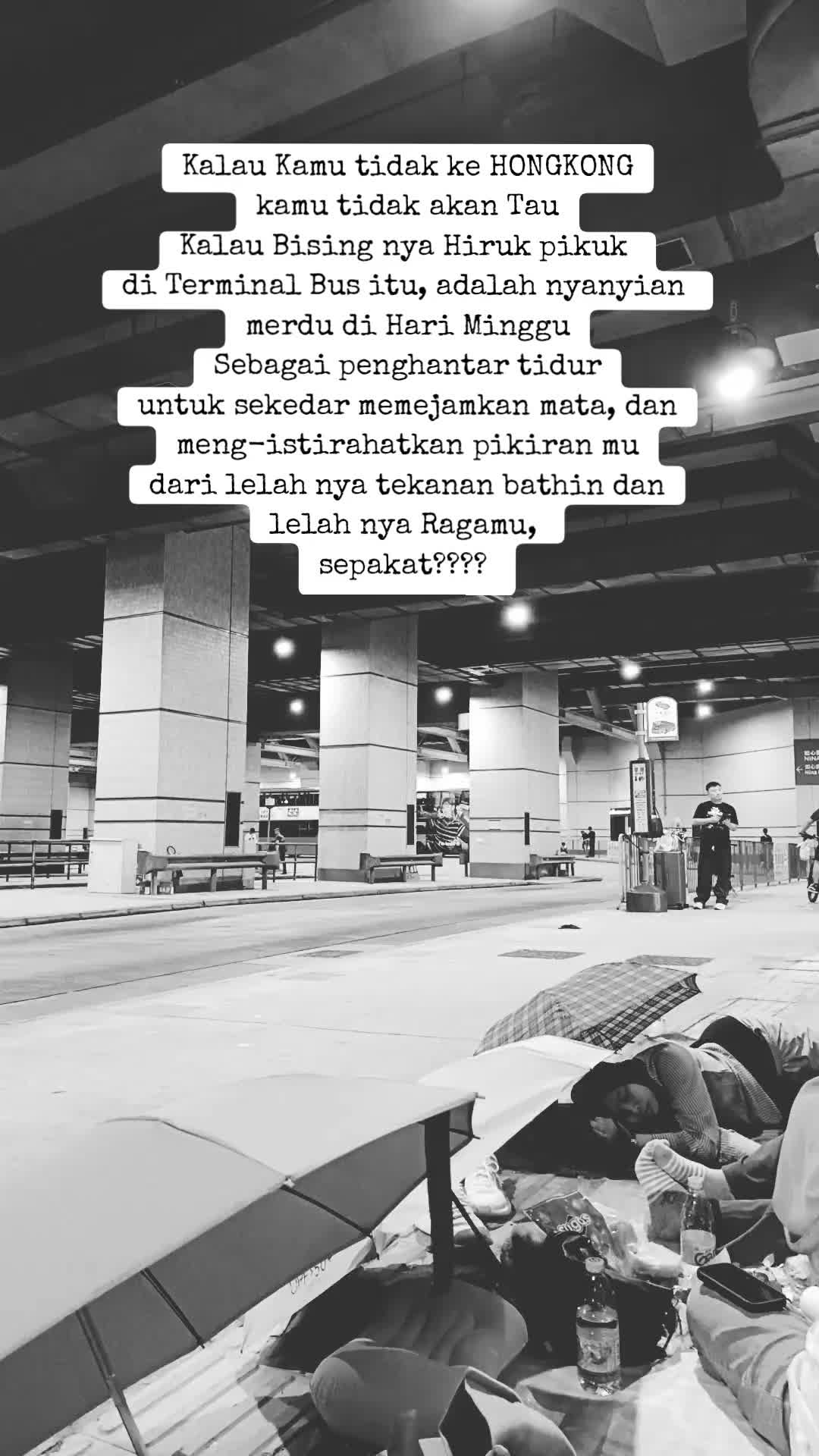 @Aulia Genie