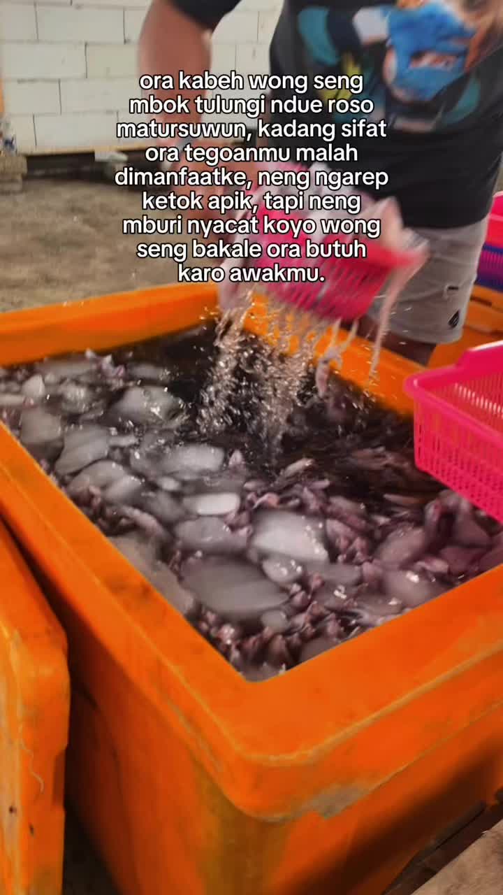 @PESONA BAKOL IWAK🐬🐬