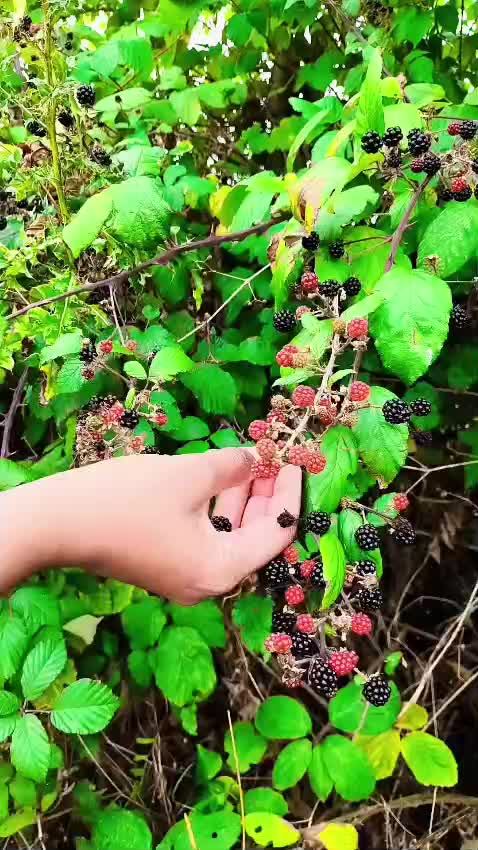 @Siniprasanth