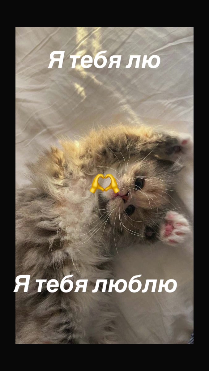@💕