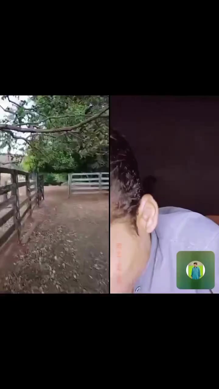 @🦜Edmilson da Serra🦜
