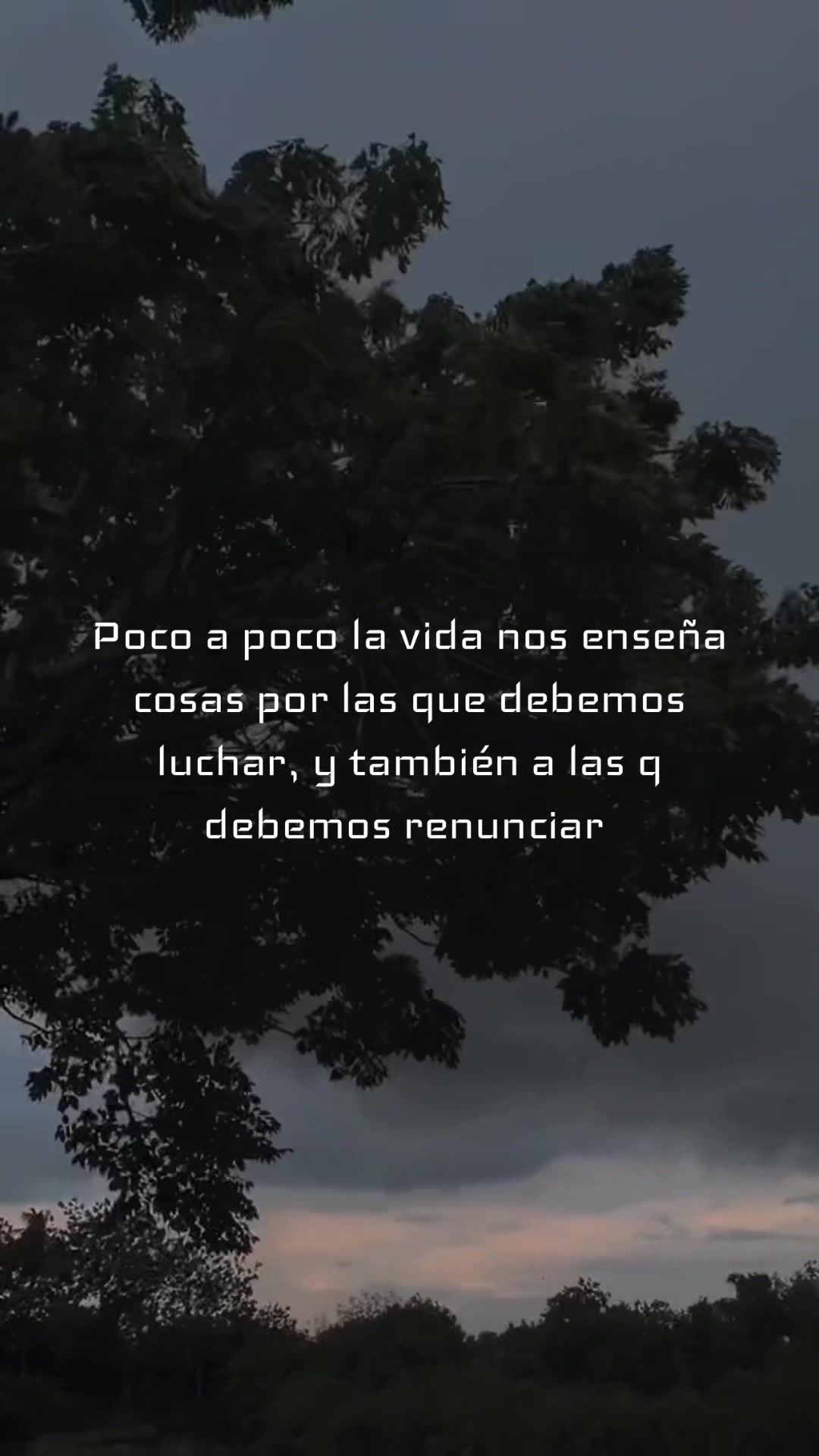 @Libeth_santana🧃