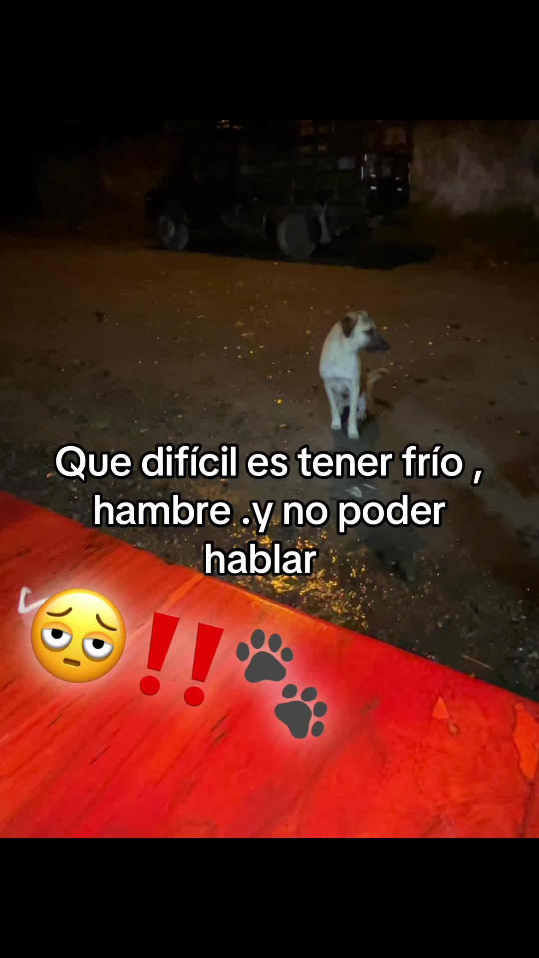 @🇪🇨⋆A⋆x⋆e⋆l 