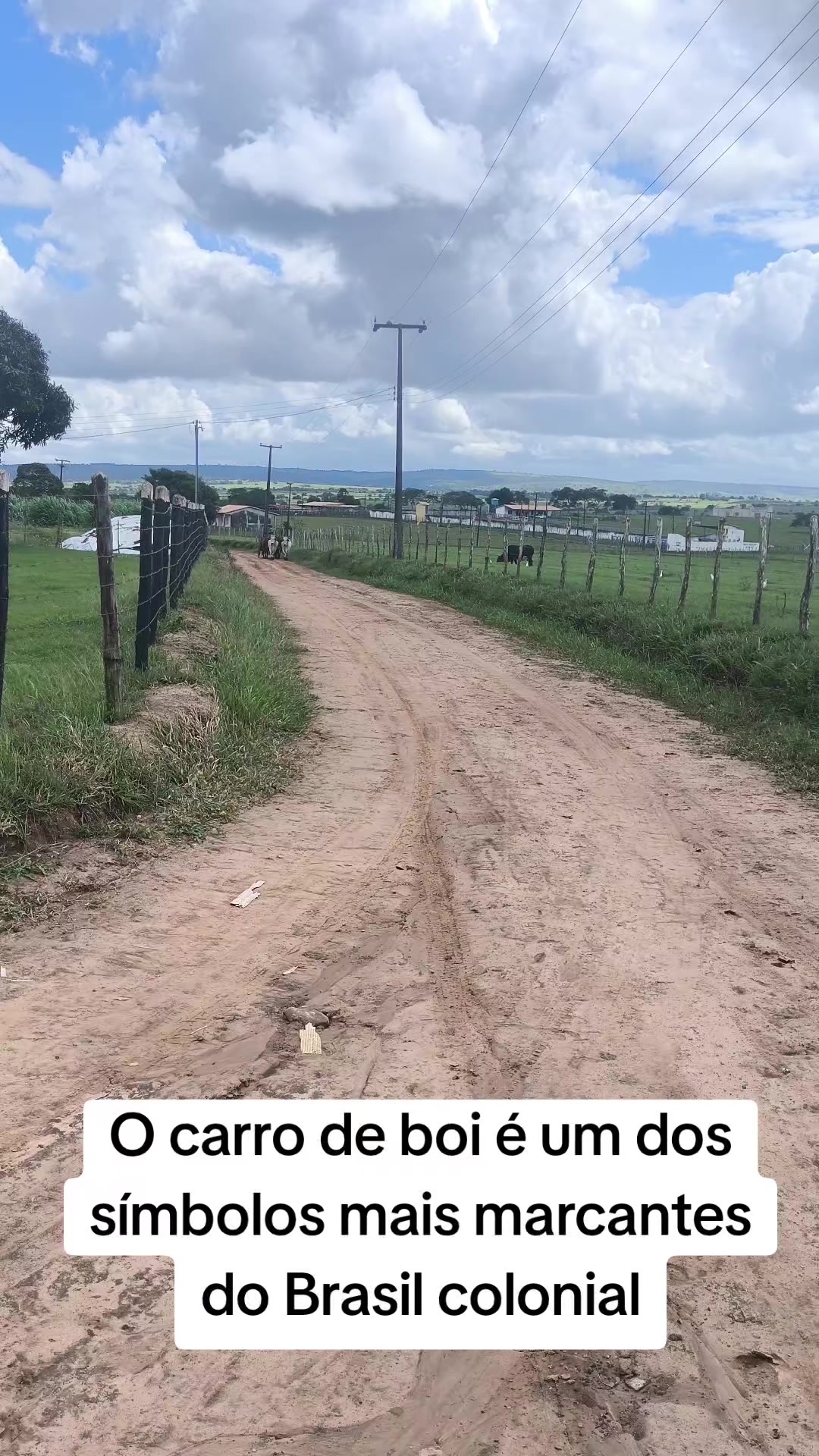 @Ronaldo Cardoso