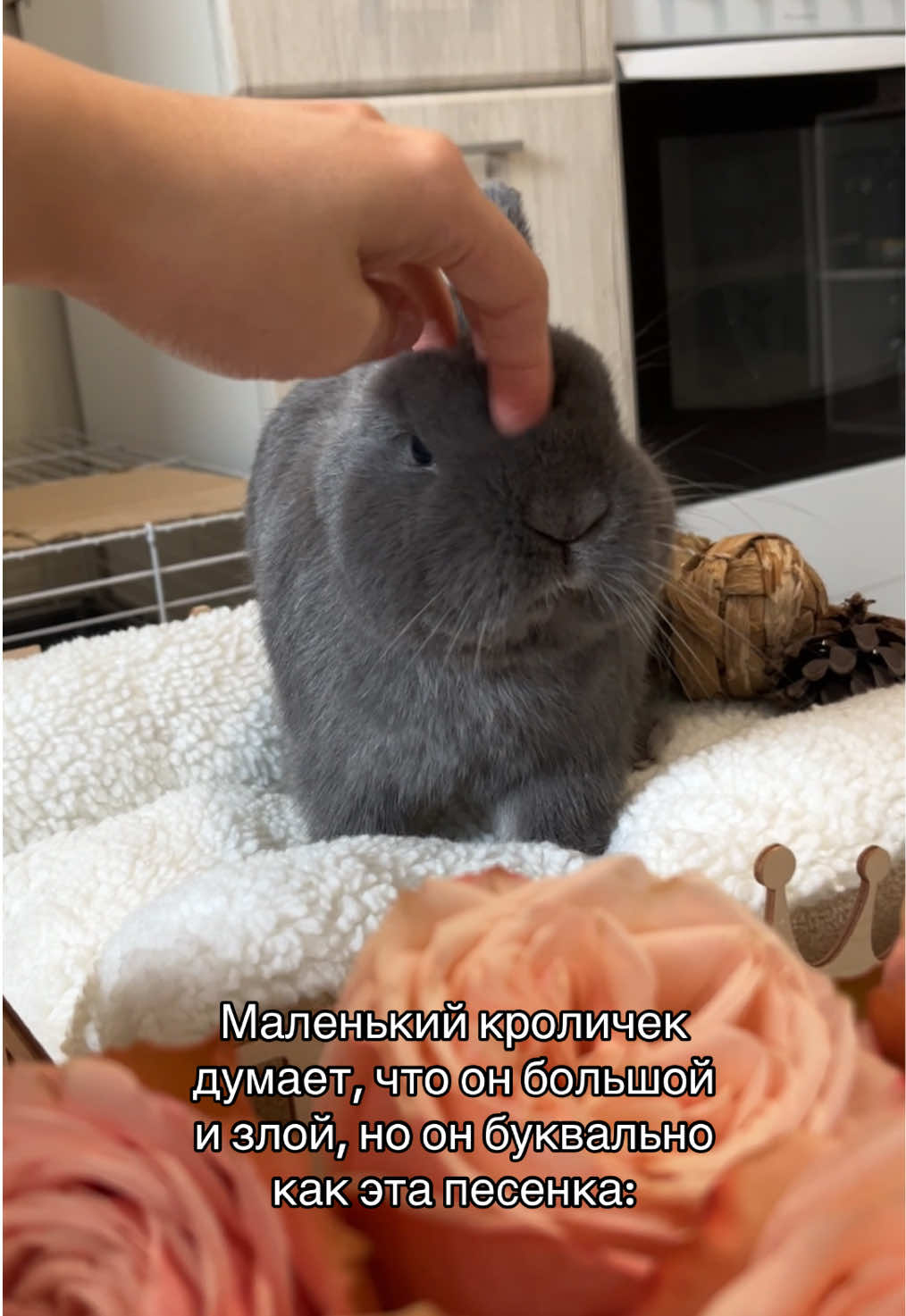 @Пусик