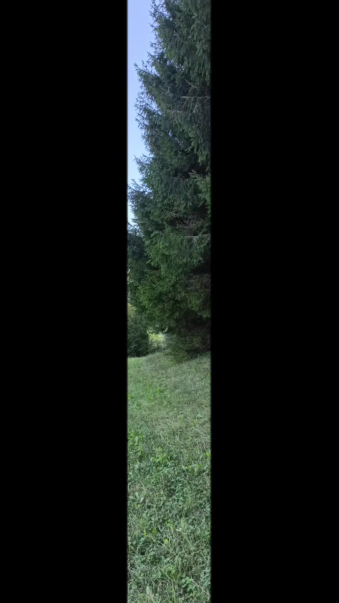 @PasqualeArmillotta