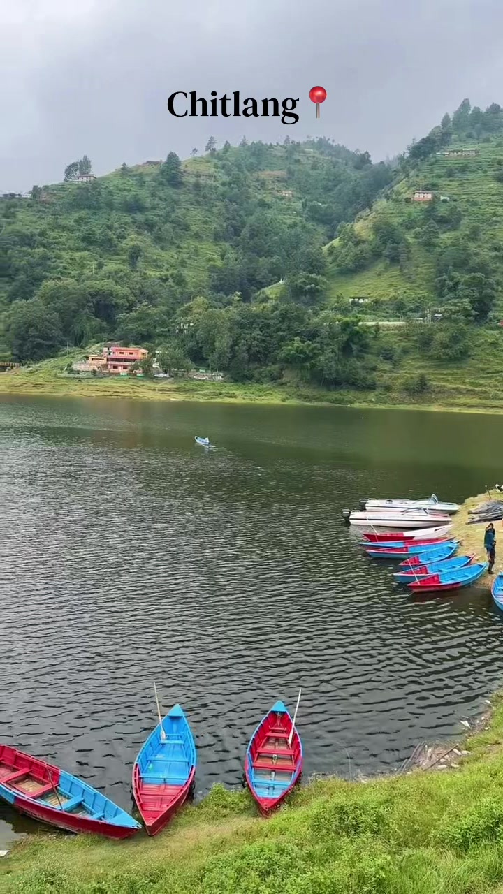 @🦢