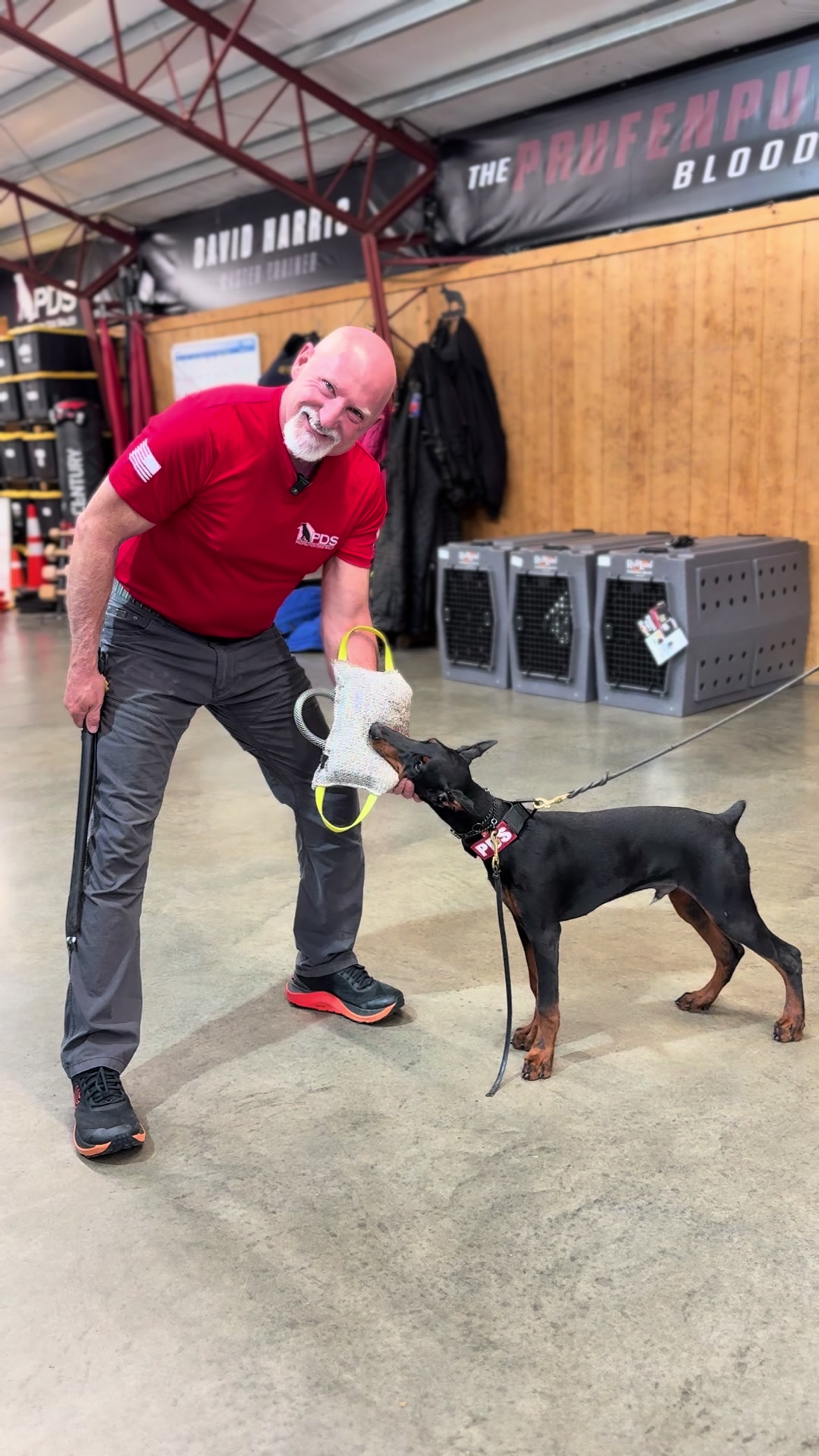 @Protection Dog Sales