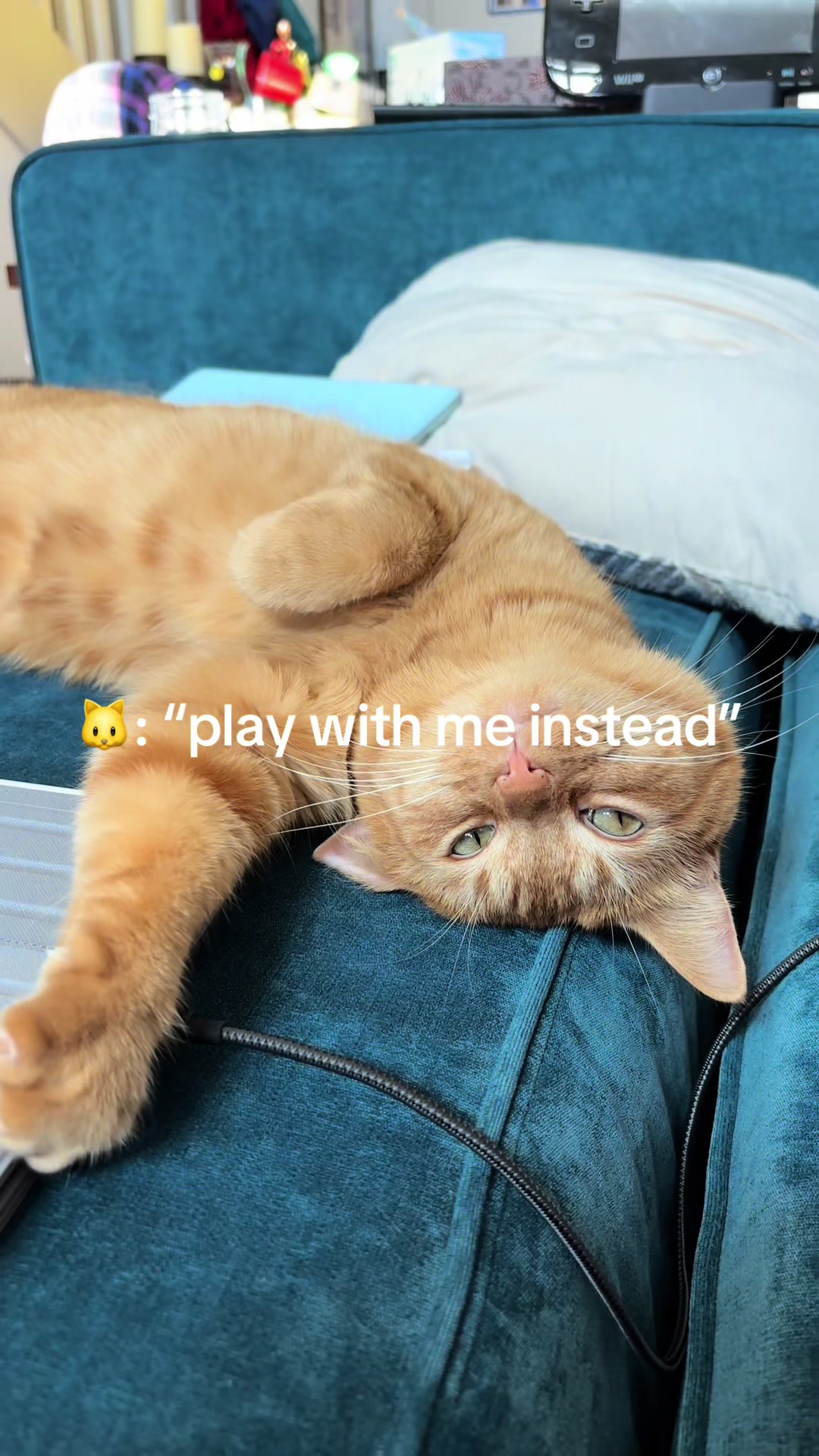 @cowboycatdad