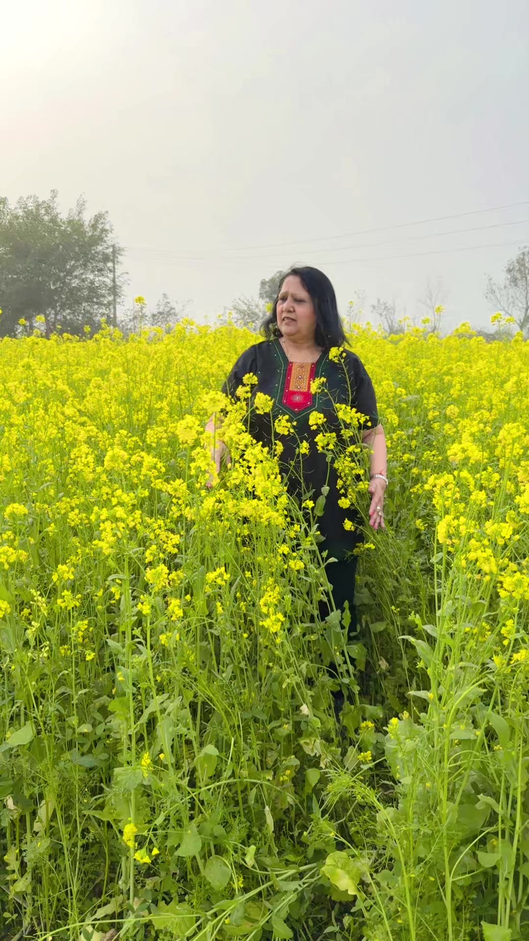 @hardipkuar