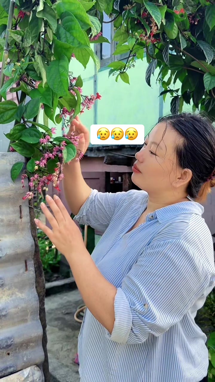 @December25🧿🧿👨👩🏻💼👩