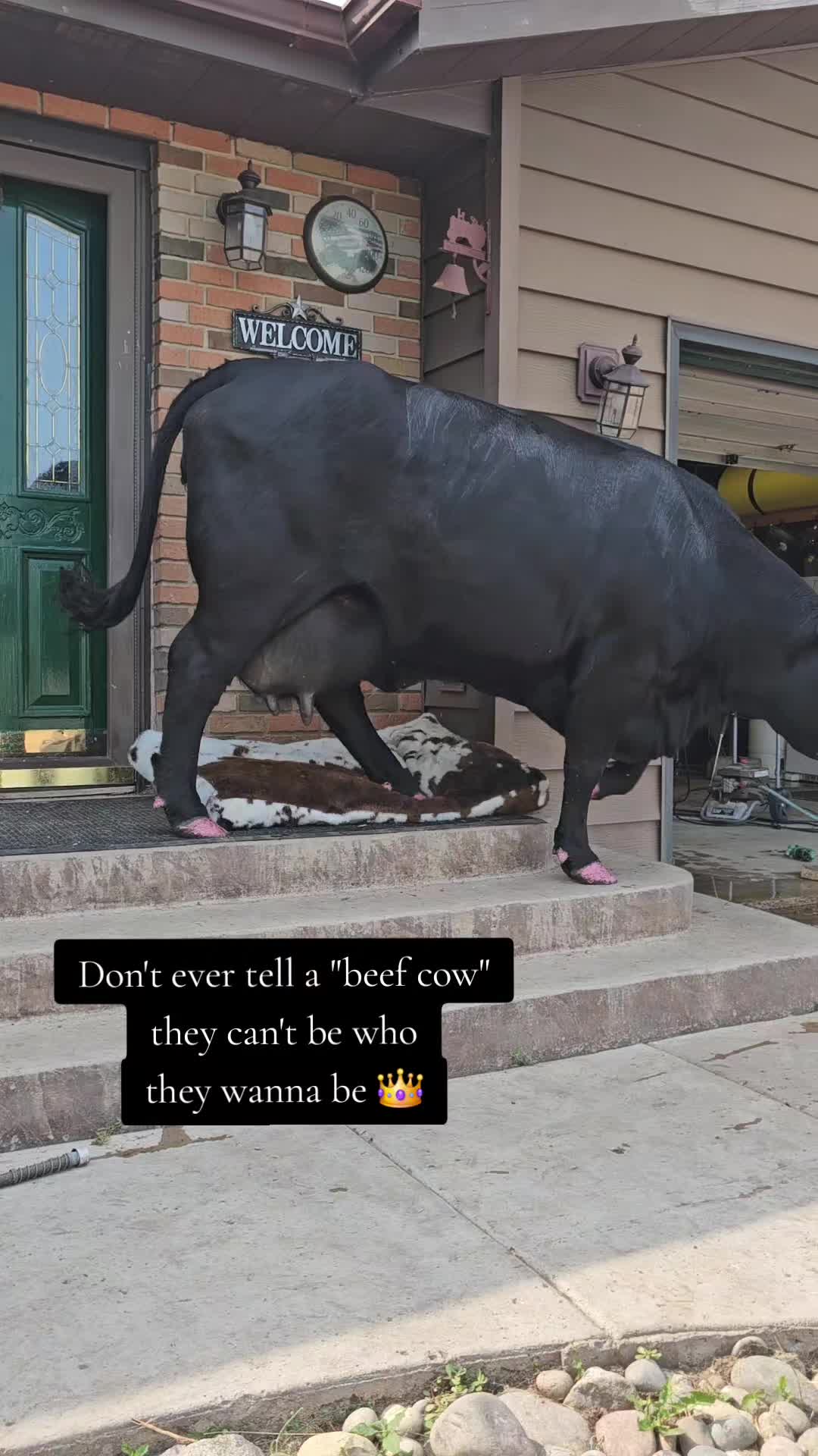 @Dakotafunnyfarm