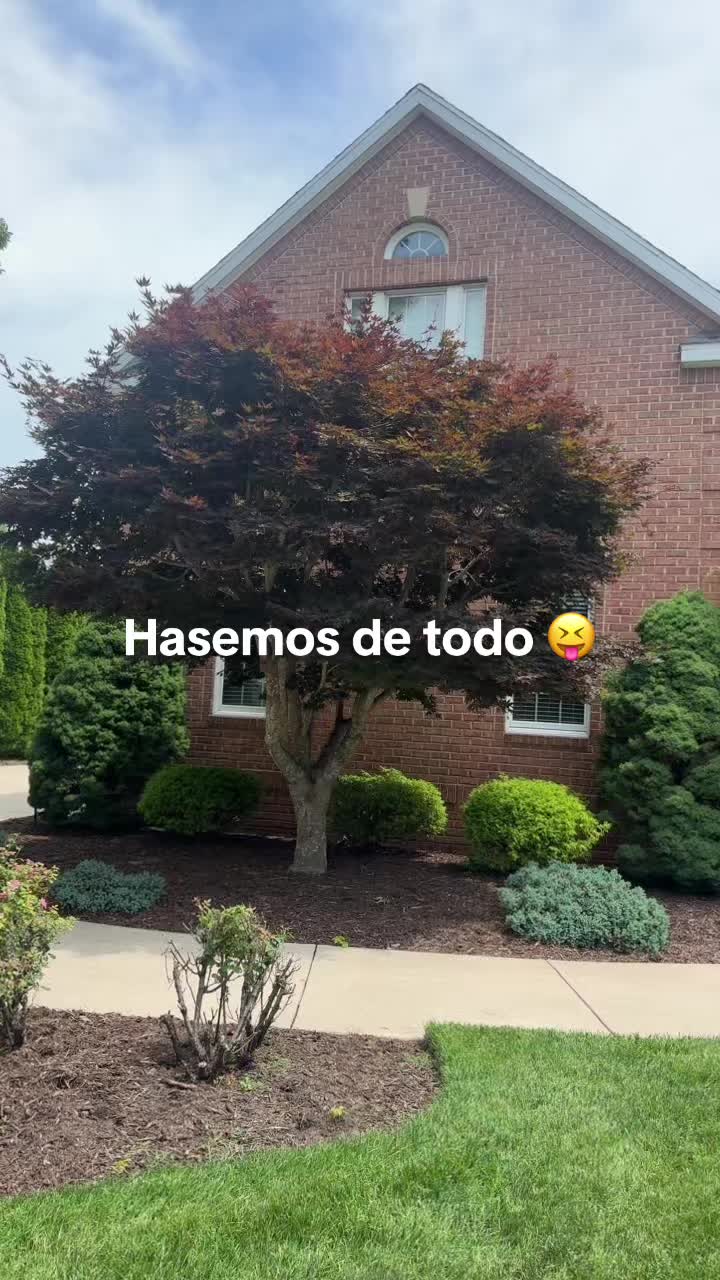 @Sandra