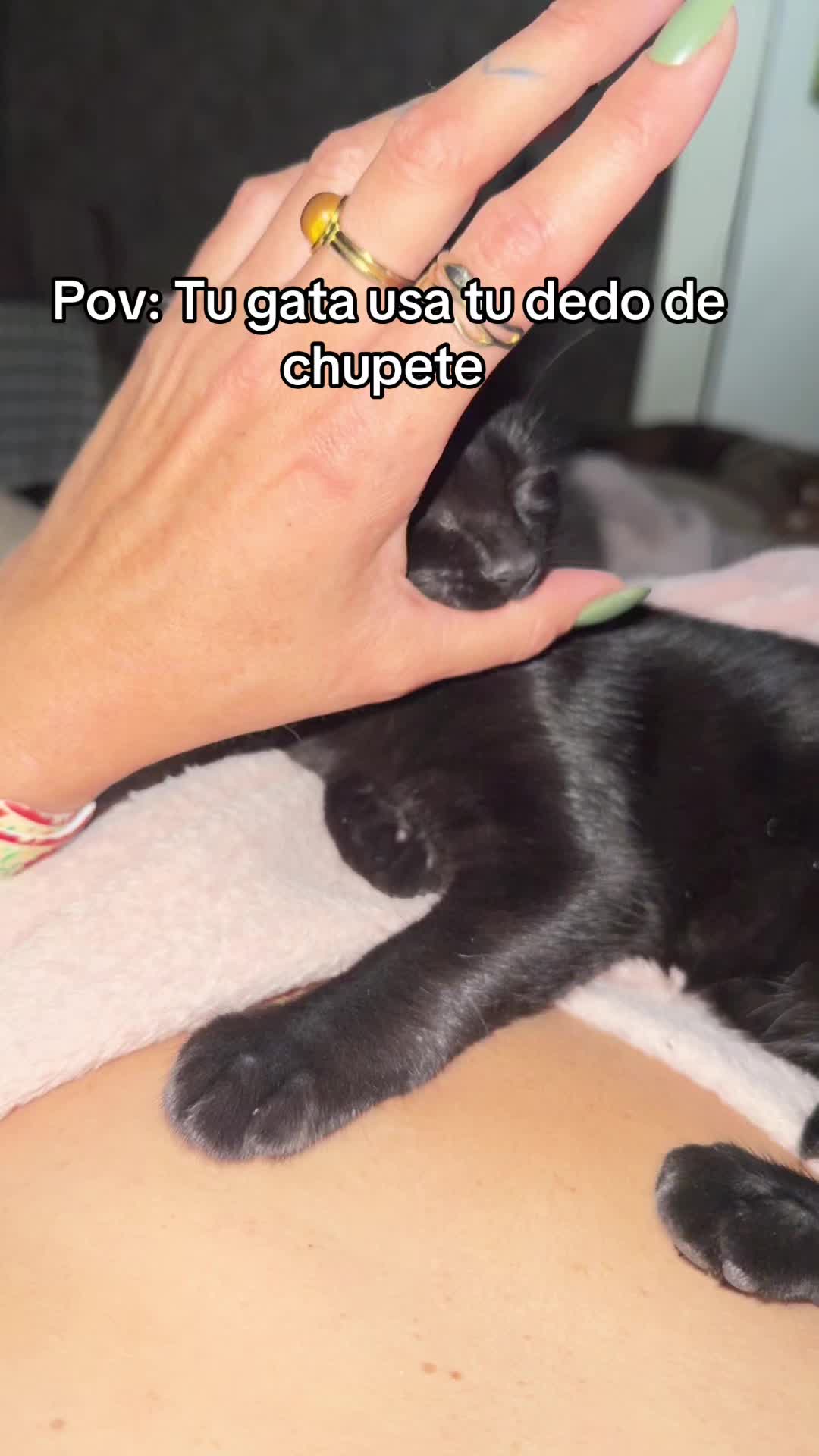 @lorena Castillo