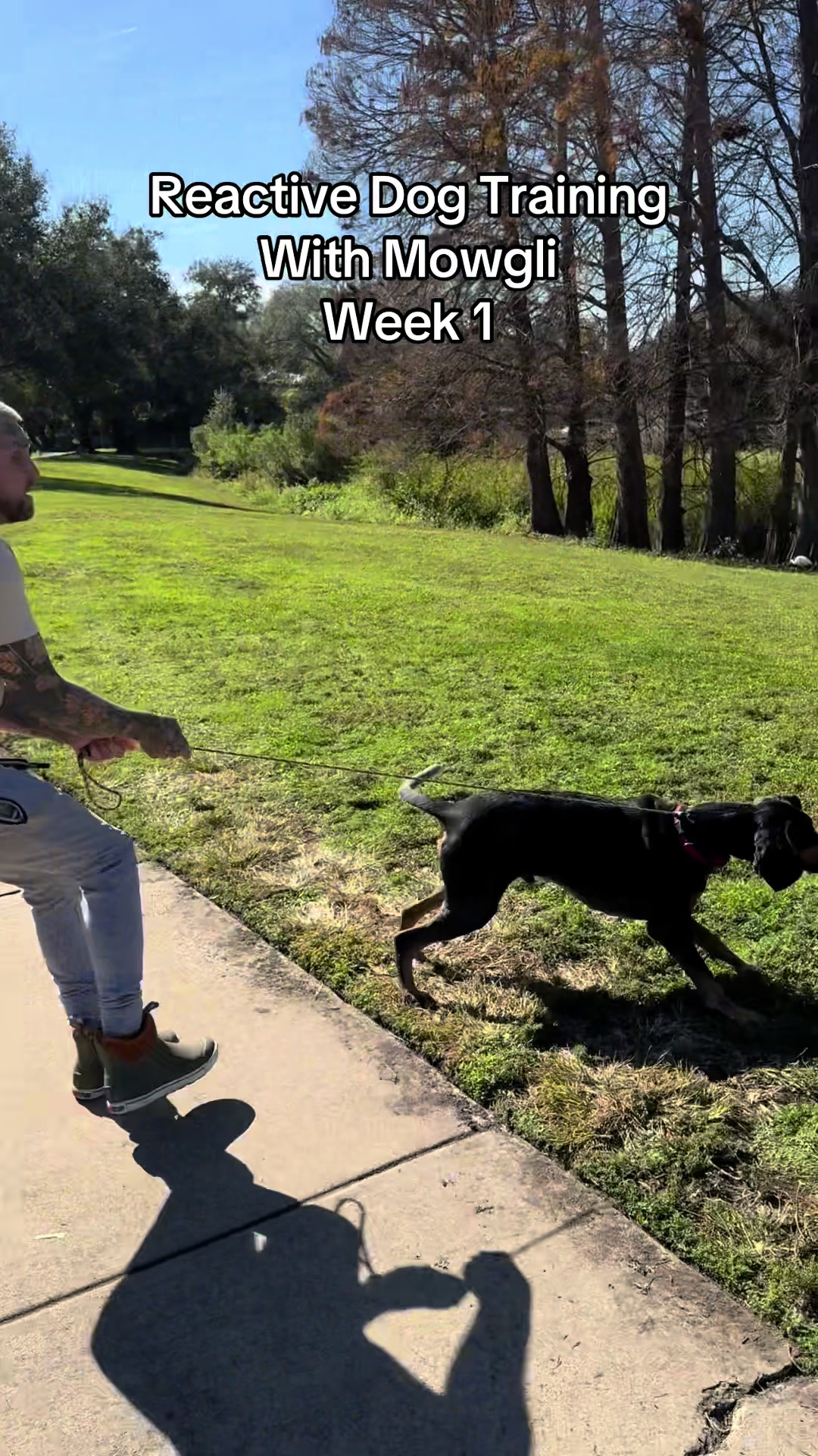 @balancedcanineacademy