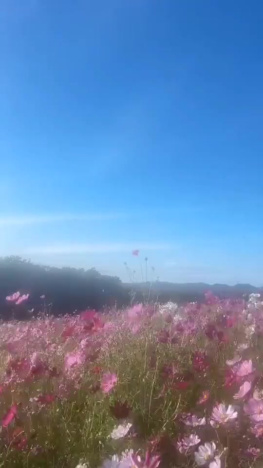 @연우