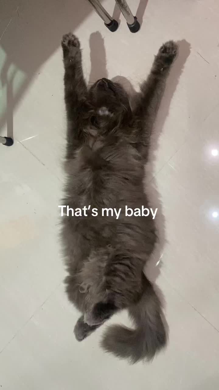 @_6e1a