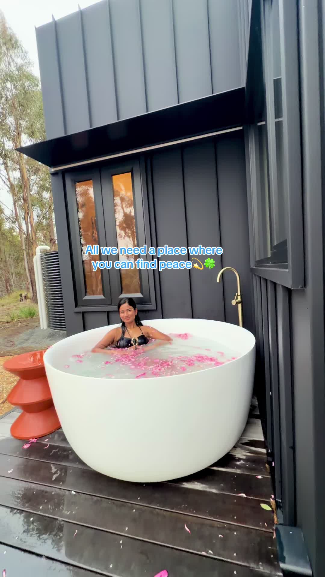 @saleena🪬🕉️