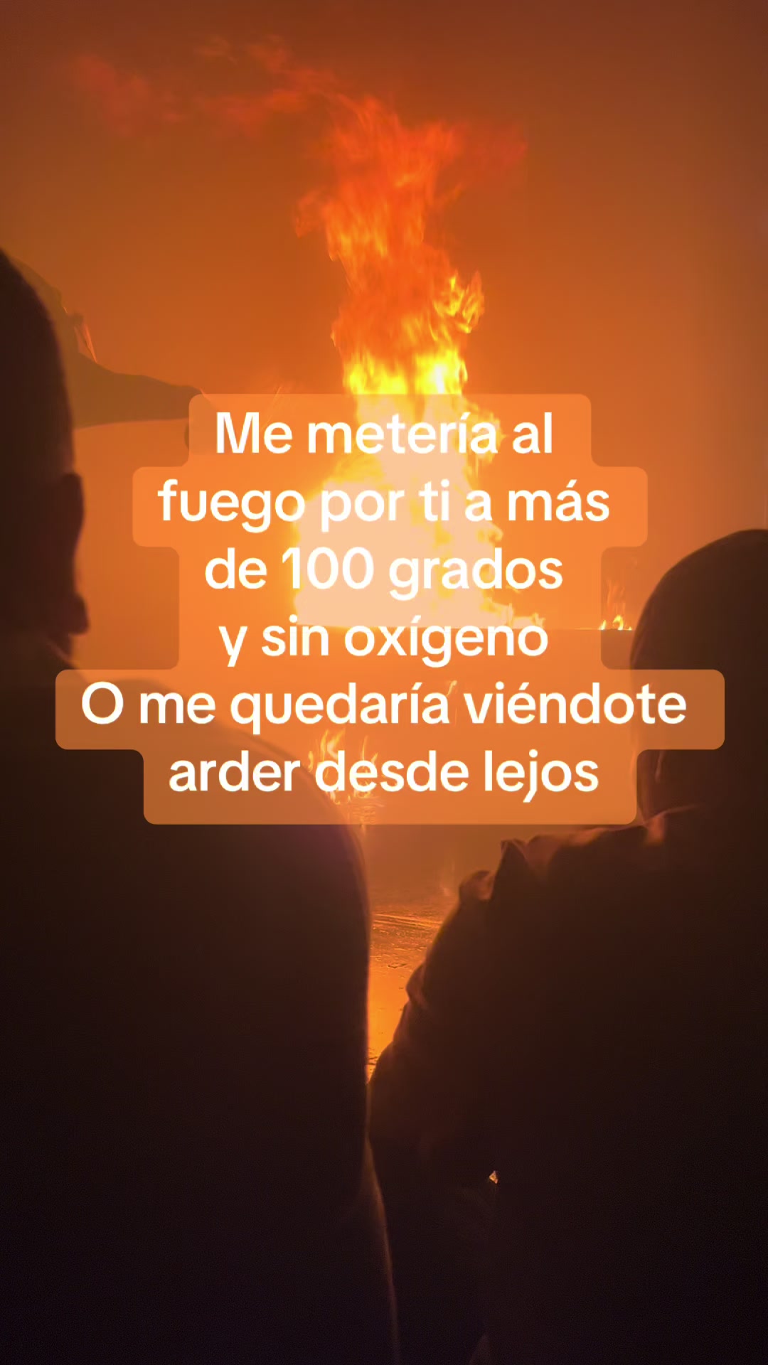 @Celina Dumer