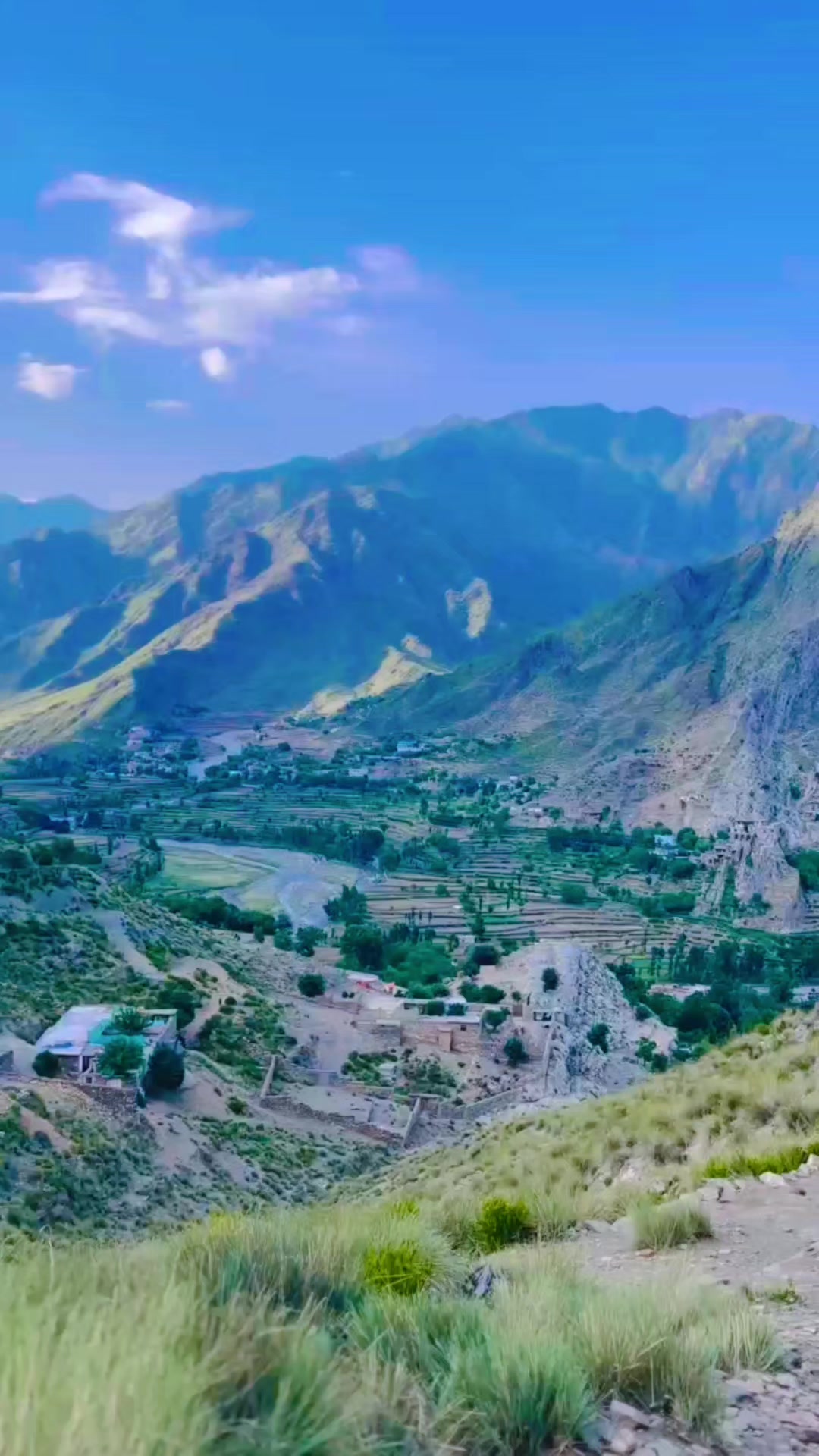 @kingشیرباغ🇦🇫❤️🇯🇵