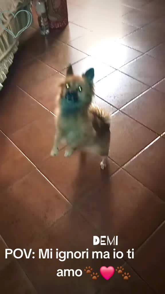 @๐ถโ๐ ๐ฟ๐๐ù ๐โ๐ถ