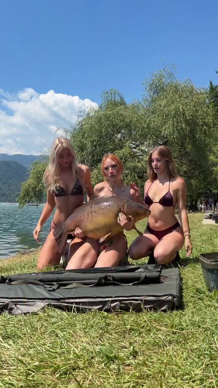 @carpworldonline