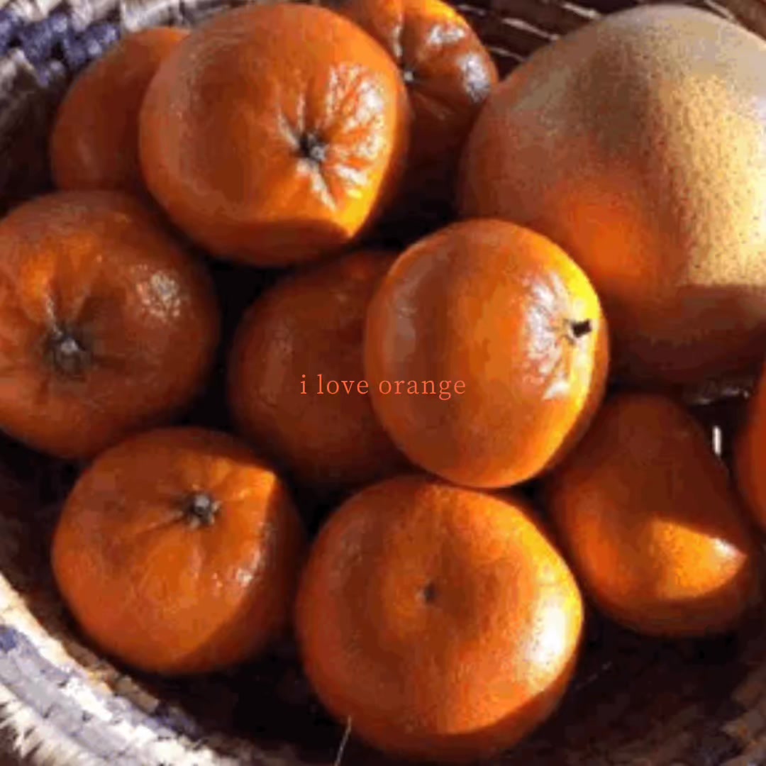 @*ੈ🦷🍊‧₊˚