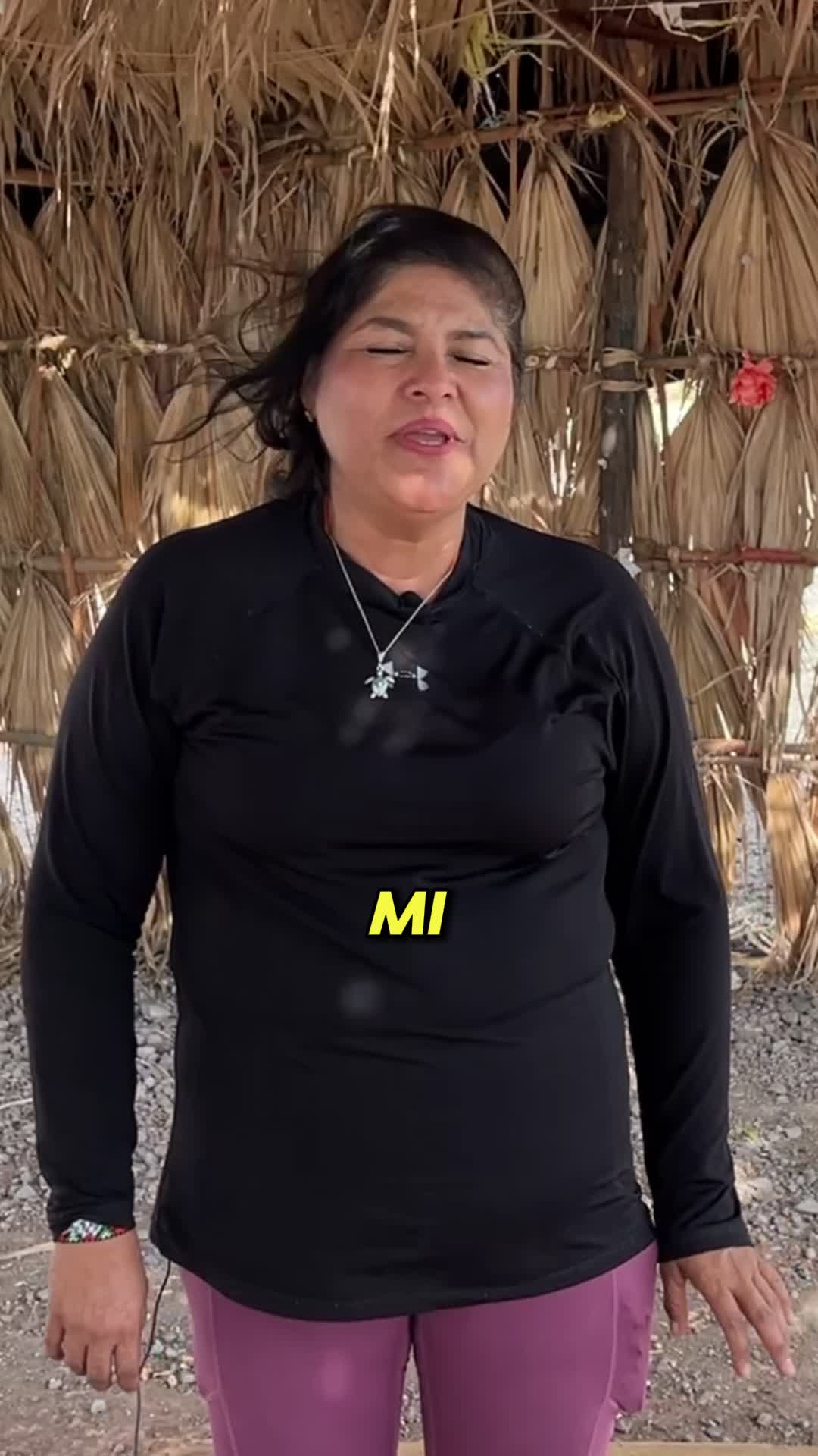 @Greenpeace México
