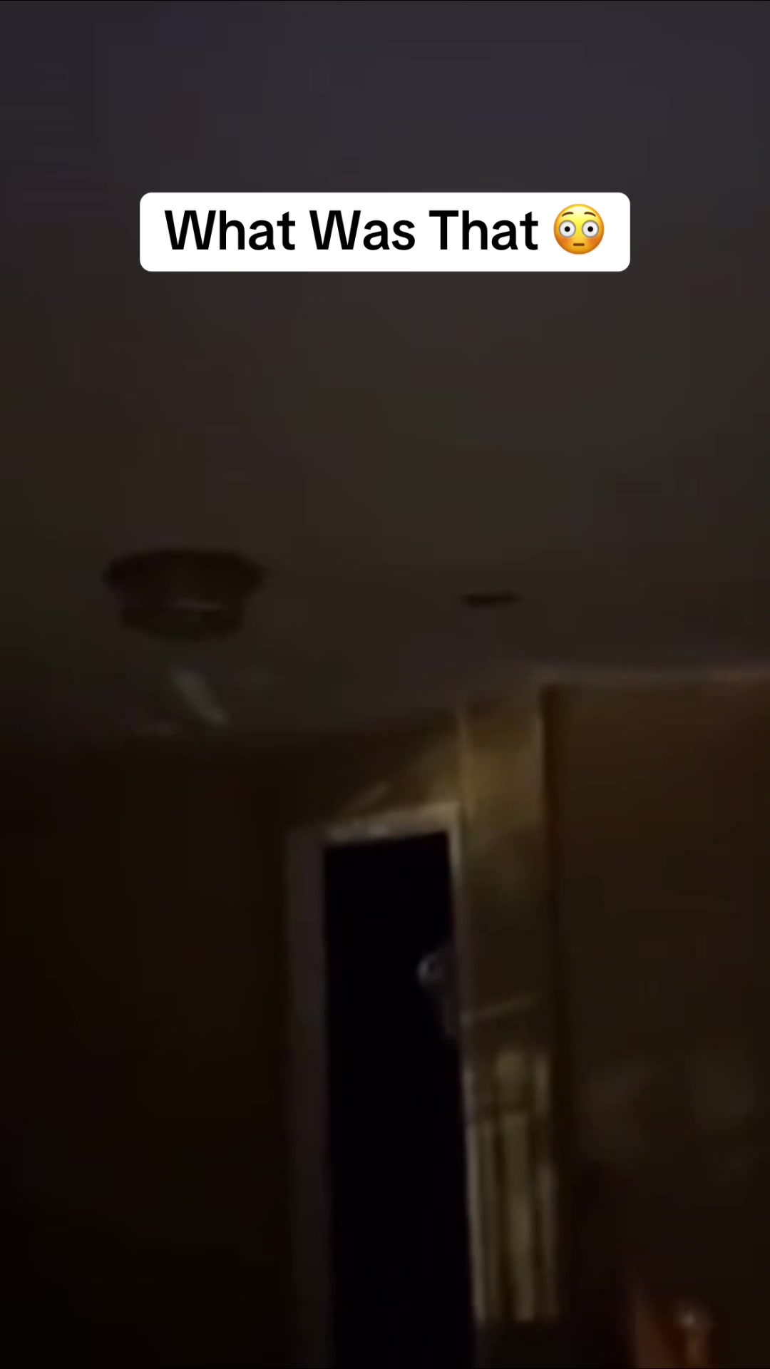 @ParanormalArchives
