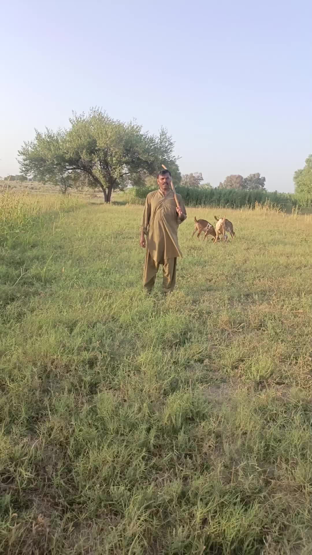 @JUNAID$IDHU