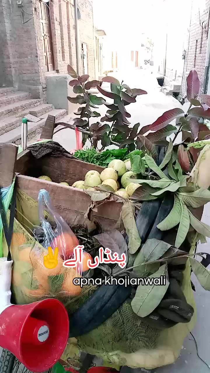 @Liaqat Ali Khojianwala🕊️🕊️