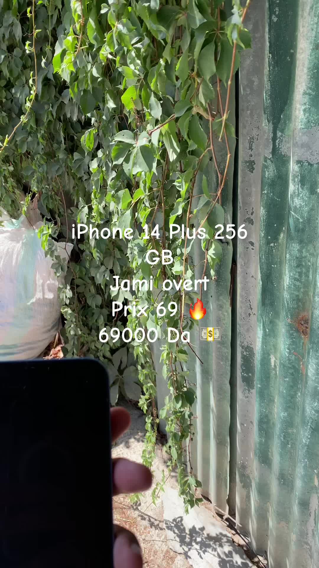 @𝑨𝒎𝒂𝒓 𝑨𝒚𝒐𝒖𝒃 🇨🇵
