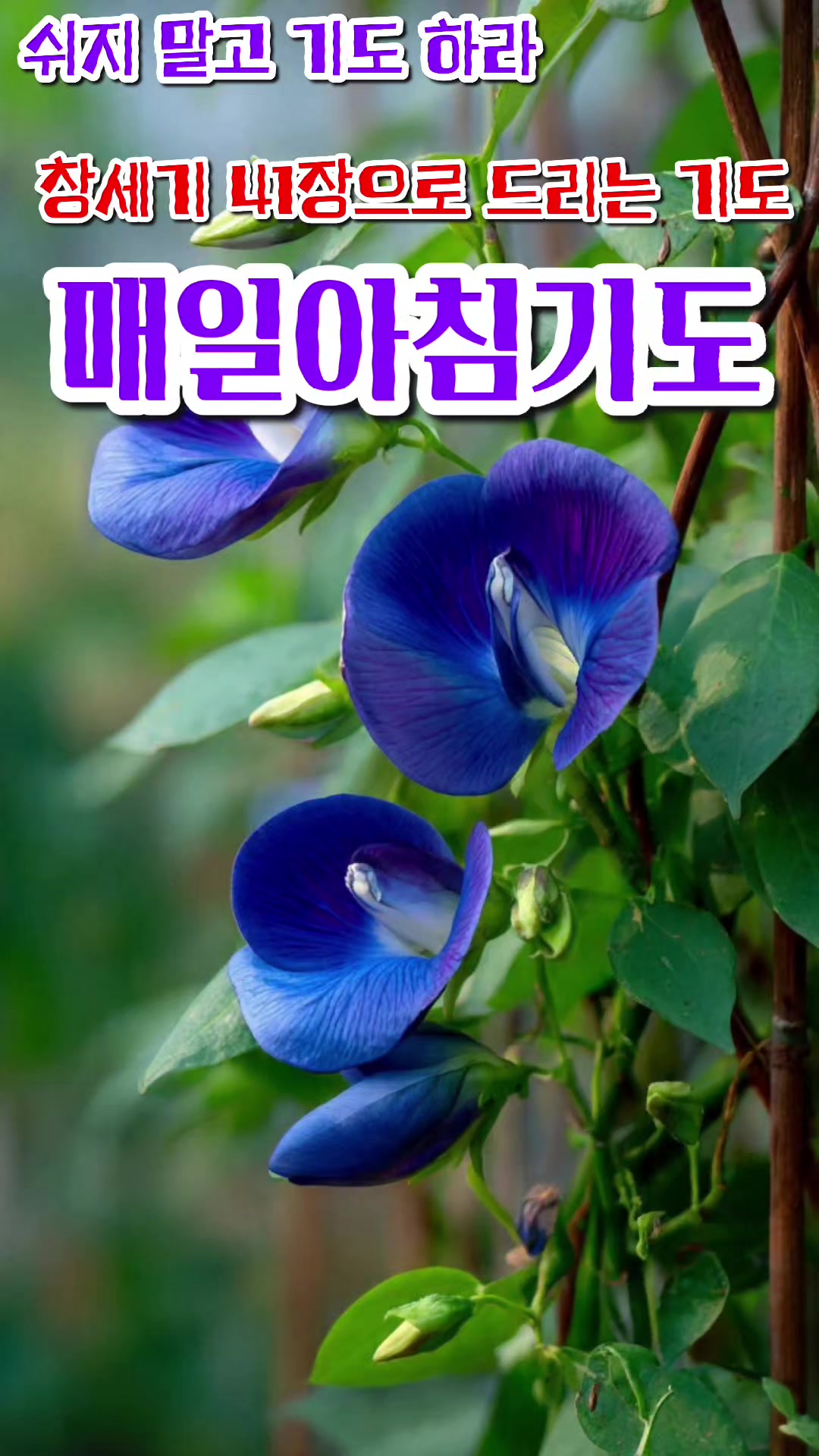@피켓전도 김종일 목사
