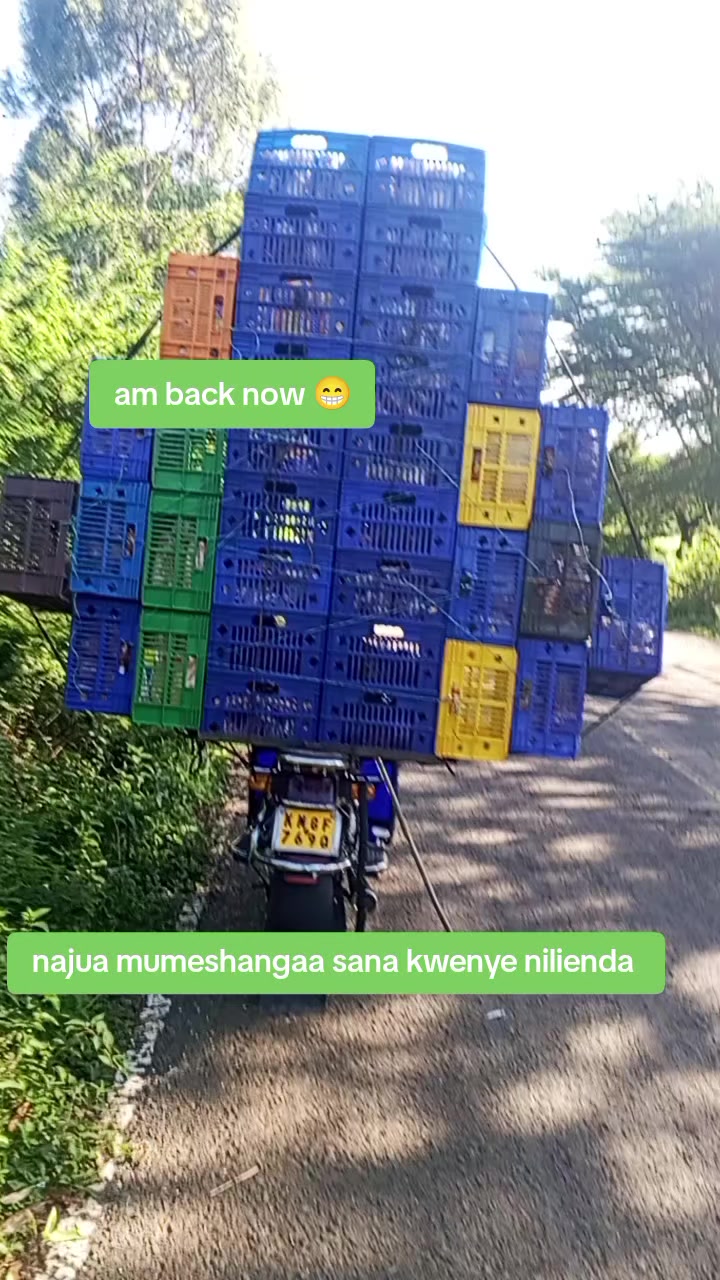 @NI STEVO     (THIGO)