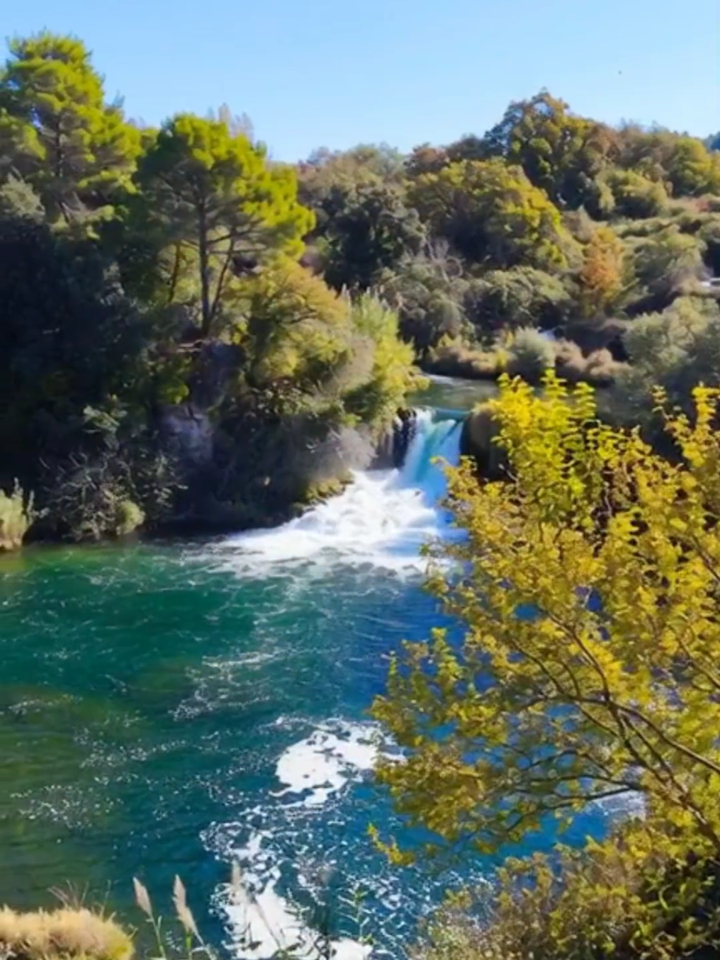 @~ Nature Escape ~